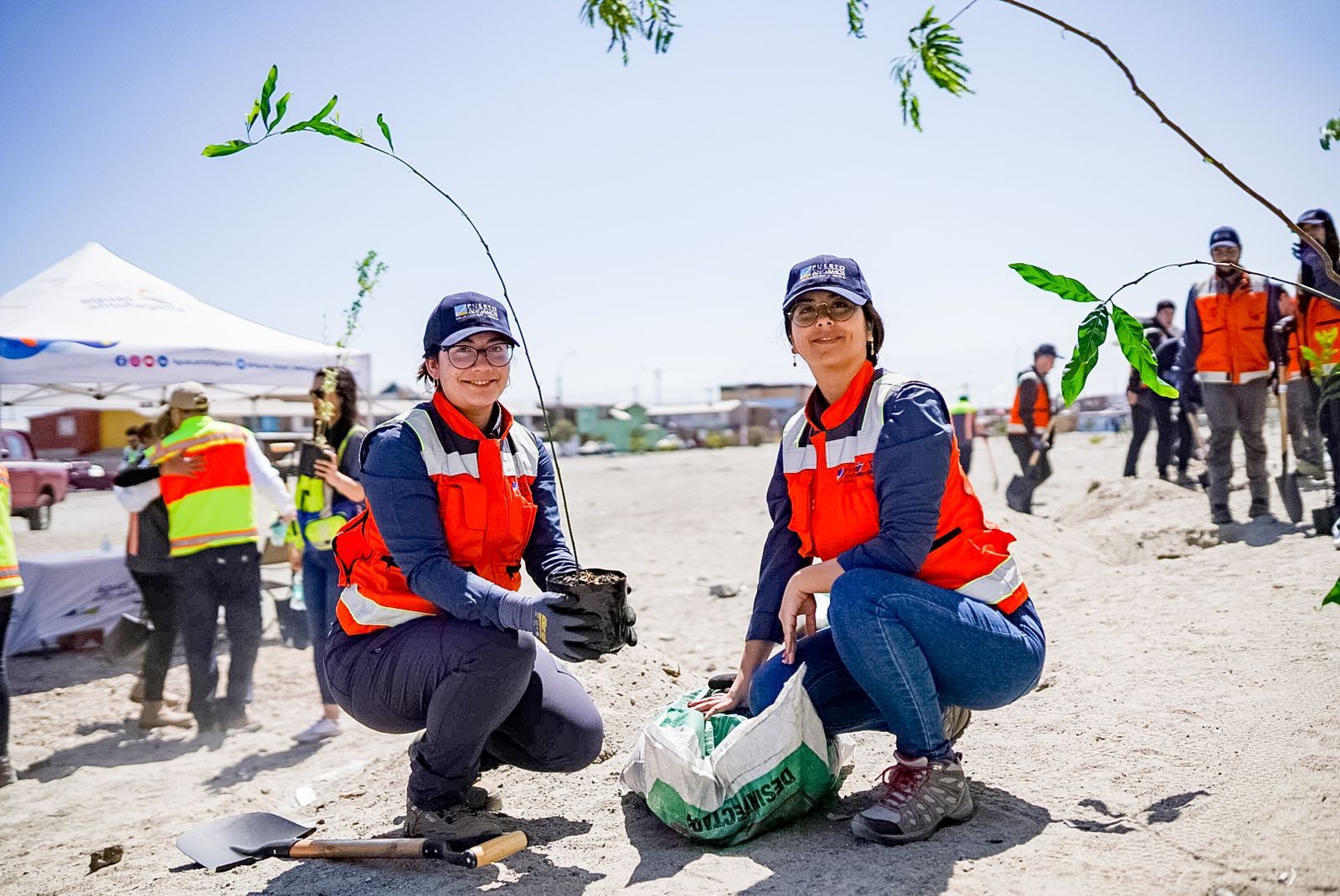 Empresas participan en jornada de arborización comunitaria
