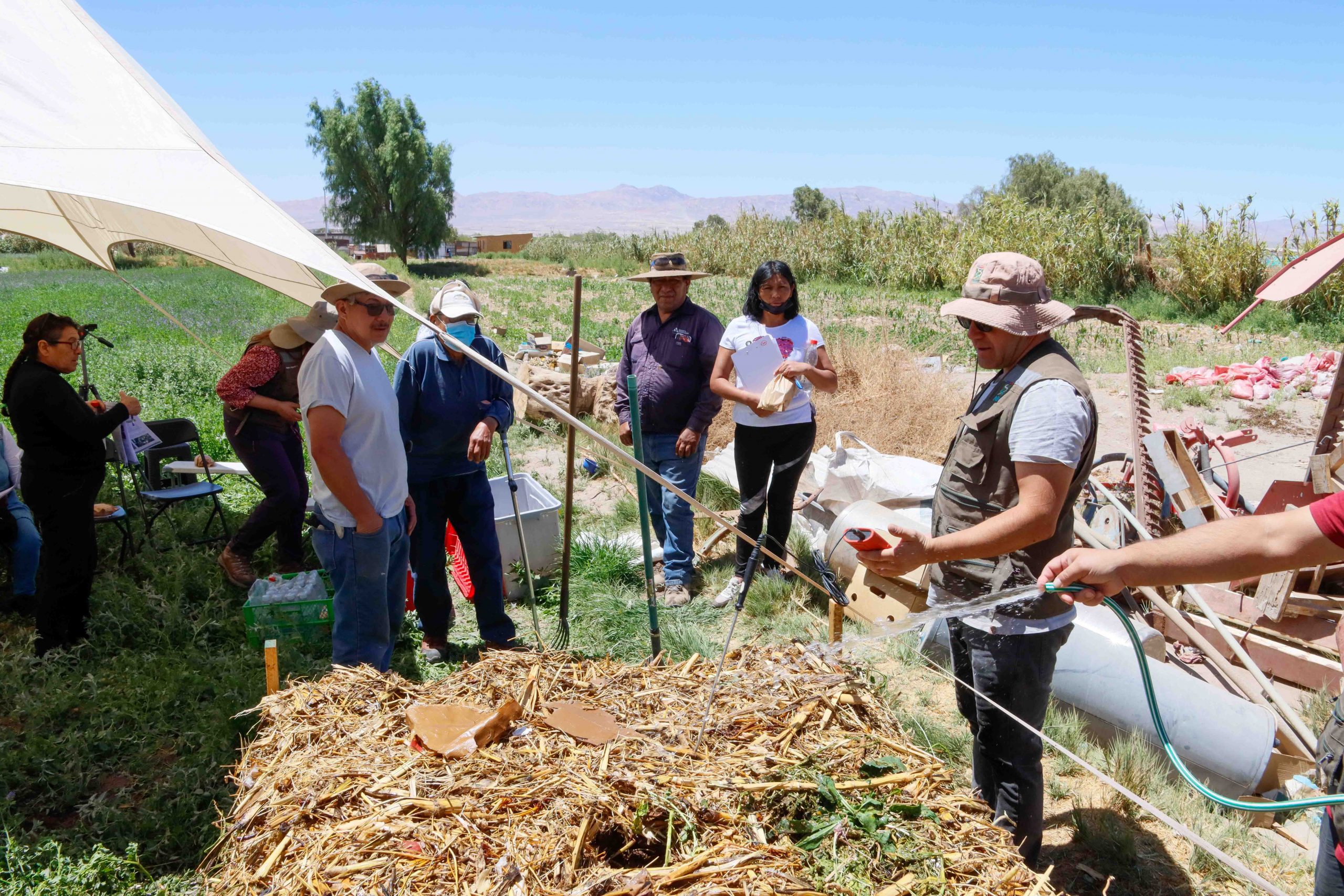 Investigación y trabajo en terreno fueron claves para recuperar suelos agrícolas