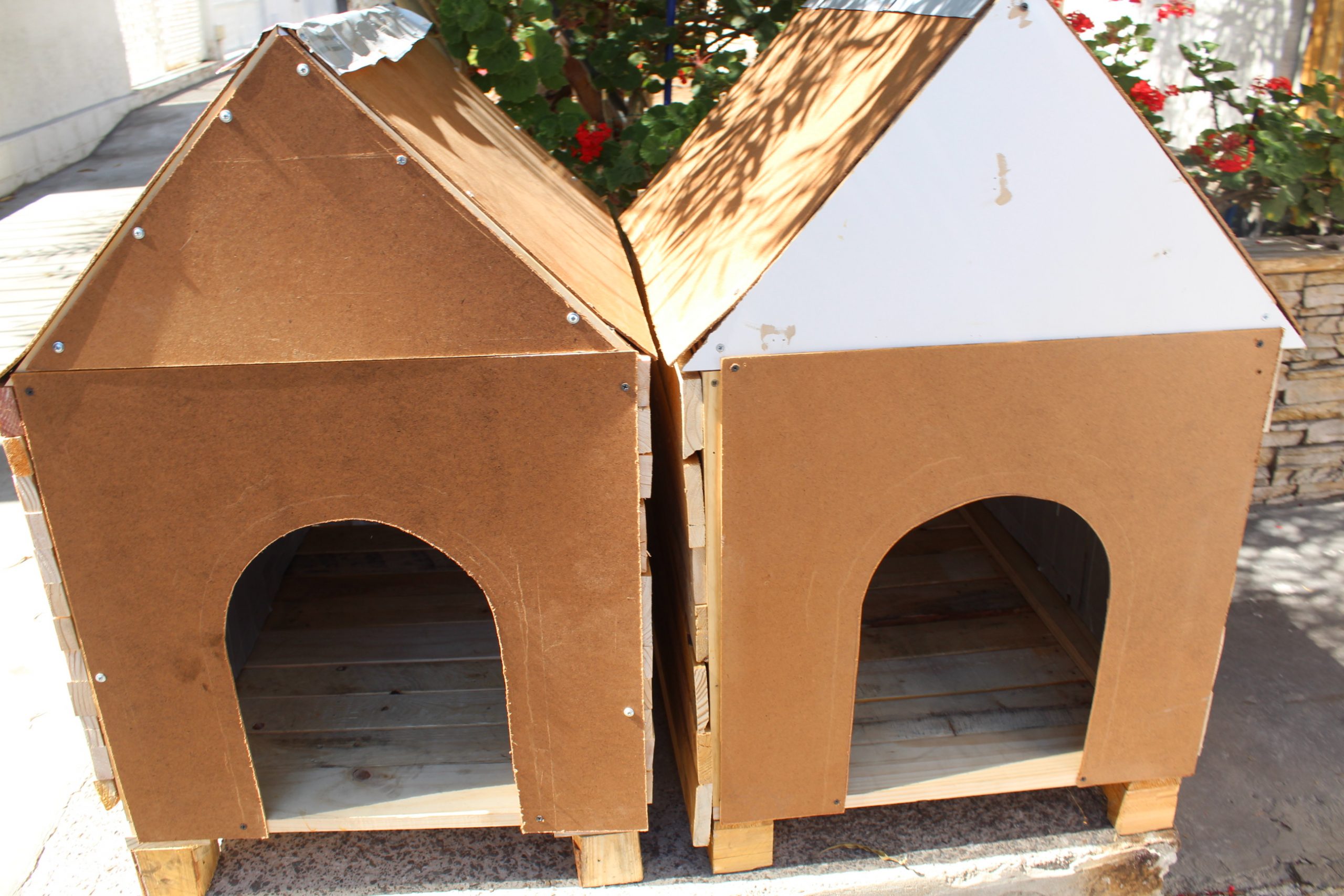 Estudiantes de ingeniería construyeron casas térmicas para perros de agrupación animalista