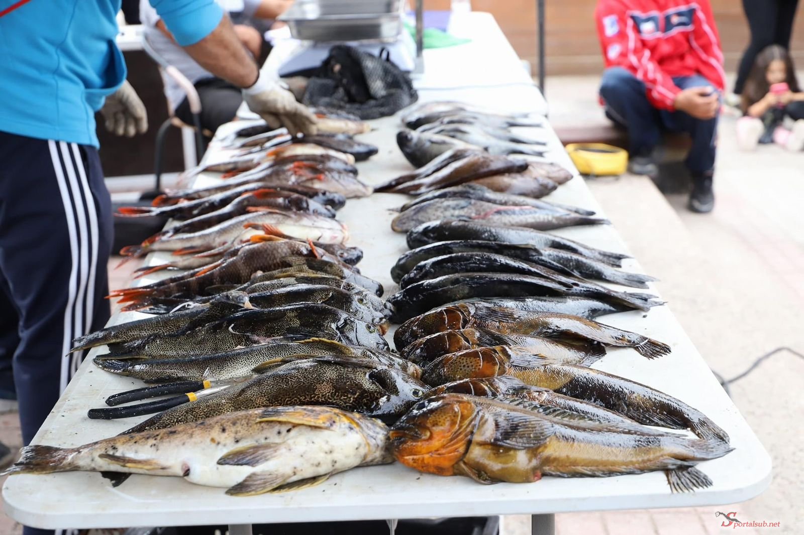 <strong>Taltal fue sede del Campeonato Nacional de Pesca Submarina</strong>