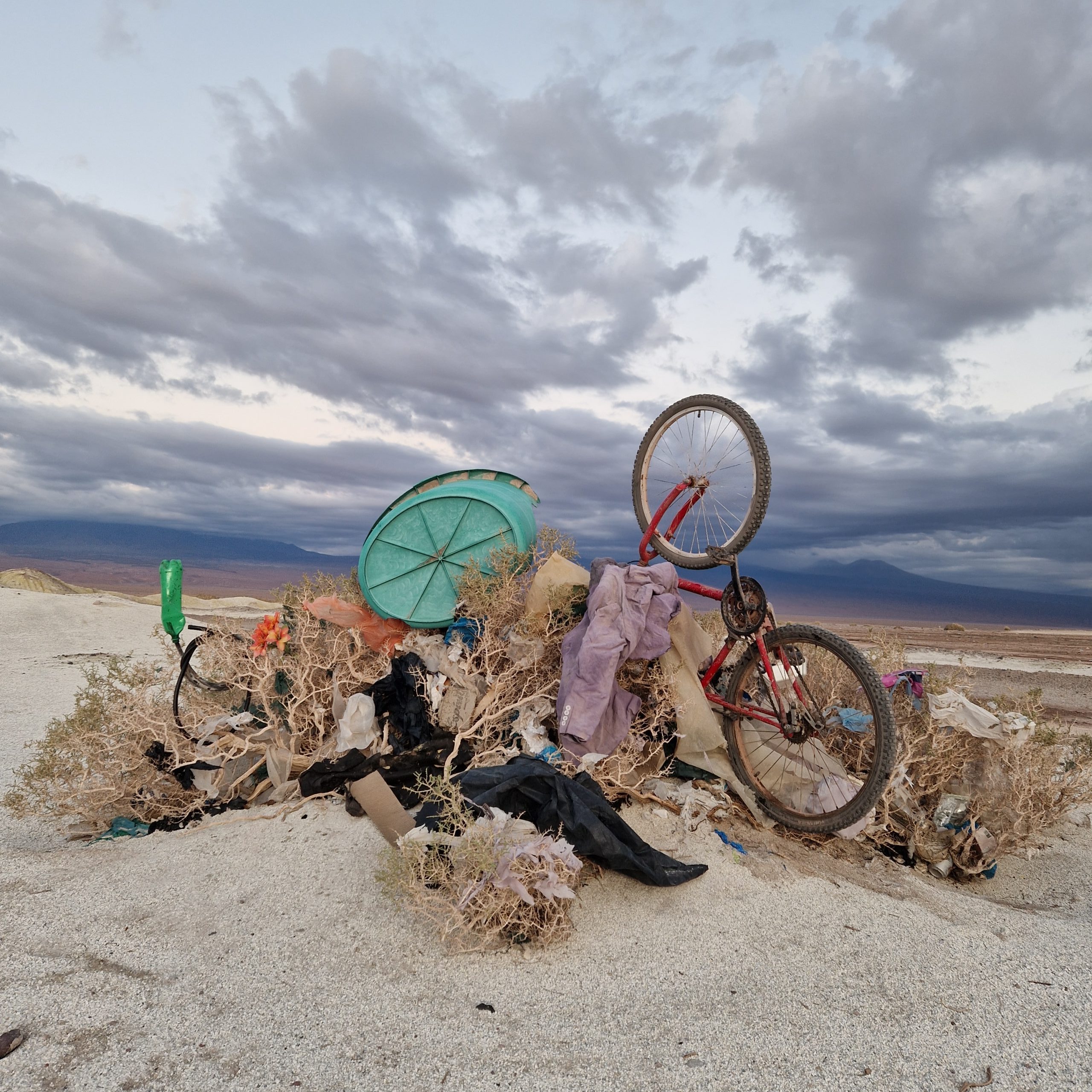 <strong>Bienal SACO invita a una cita con la basura junto a escultora y artista de performance europea</strong>