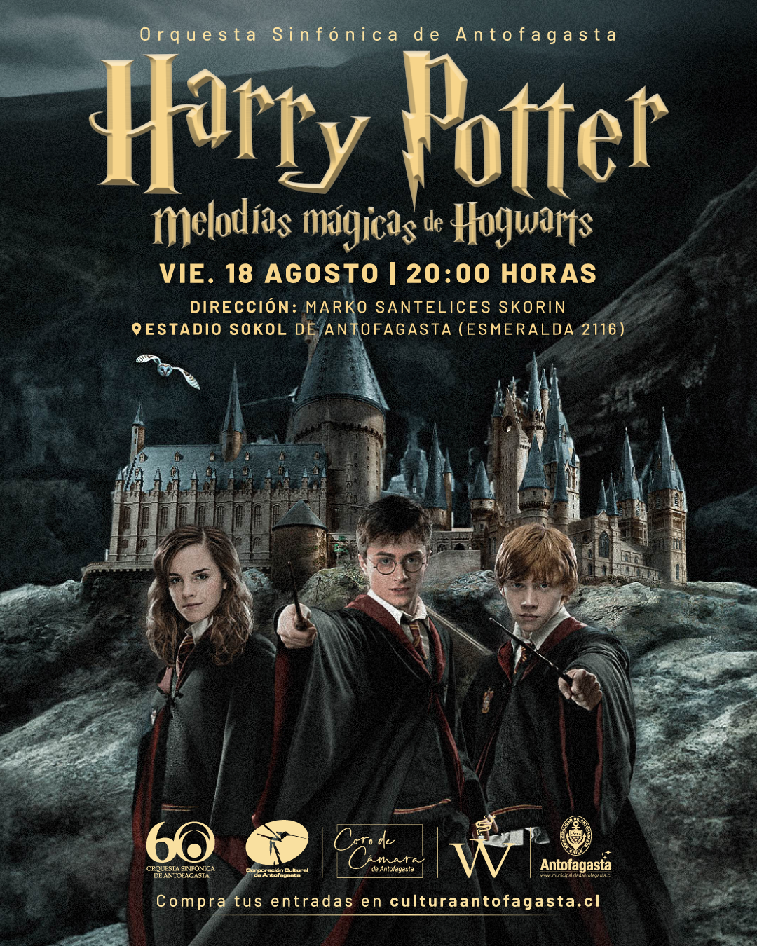 <strong><em>“Harry Potter: Melodías Mágicas de Hogwarts” es la nueva propuesta musical de la OSA</em></strong>