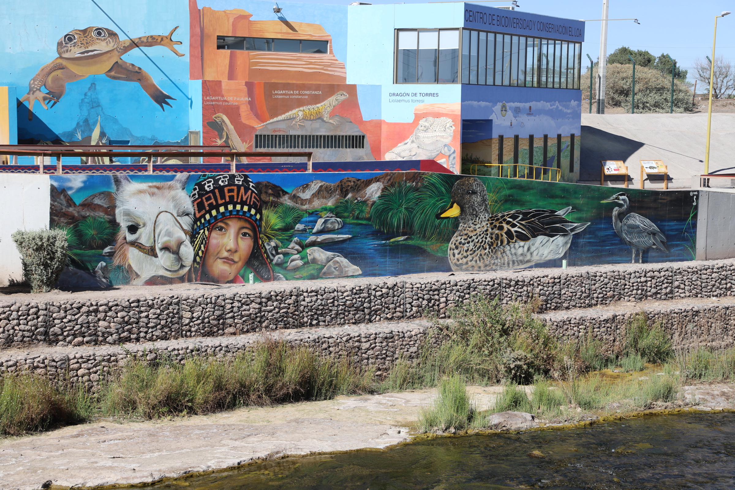 <strong>Murales Patrimoniales: El nuevo y colorido rostro de Calama</strong>