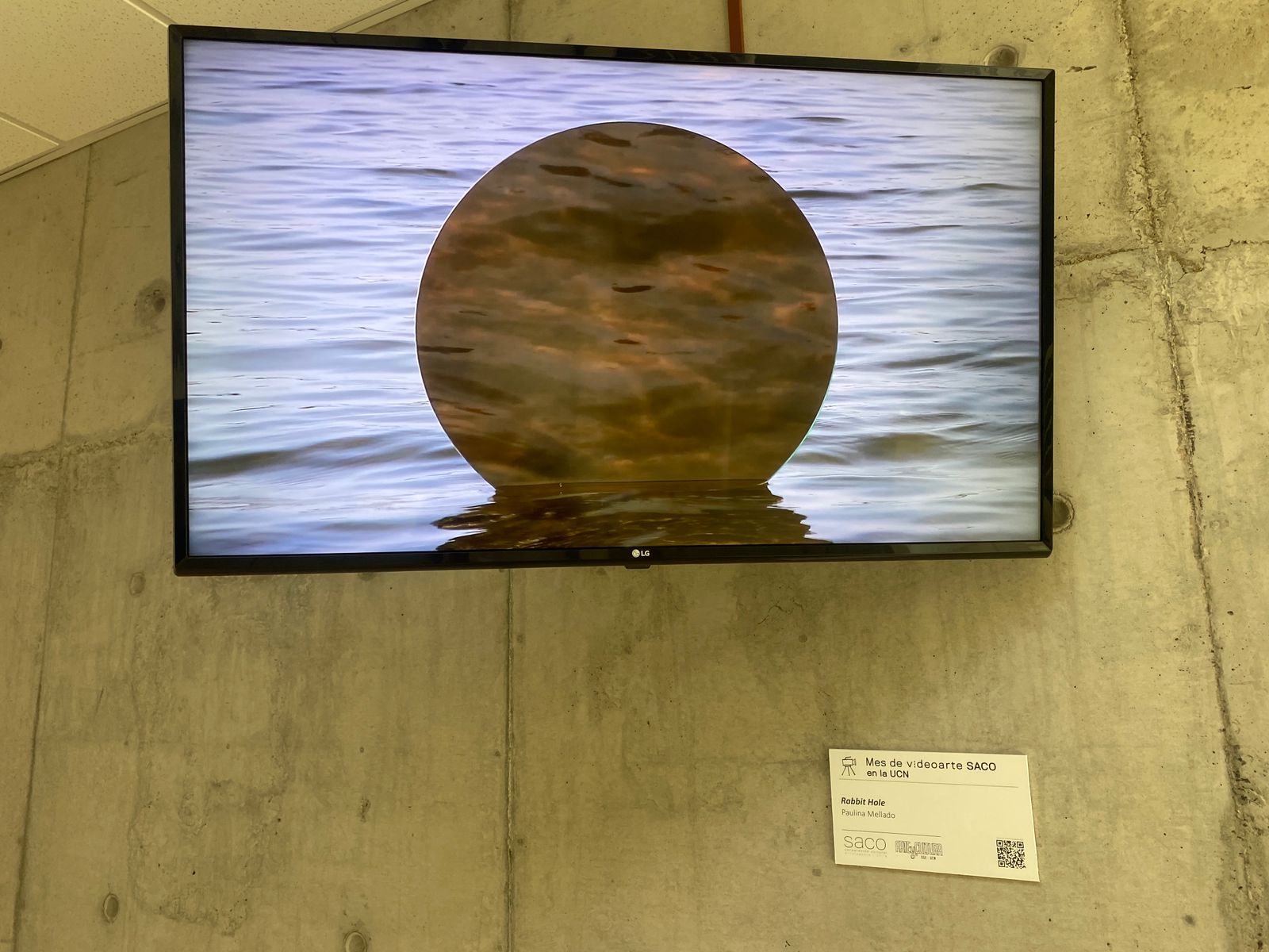 SACO despliega circuito de videoarte chileno