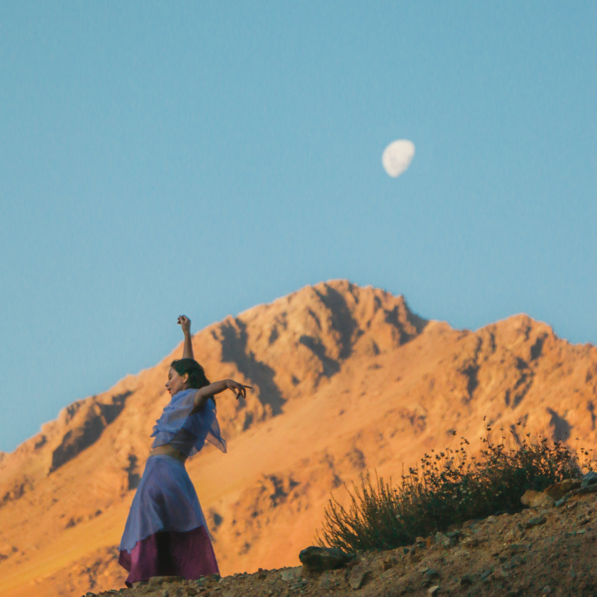 <strong>Marijo Weigel estrena “Desierto Florido” un primaveral single sobre la idea de “florecer”</strong>