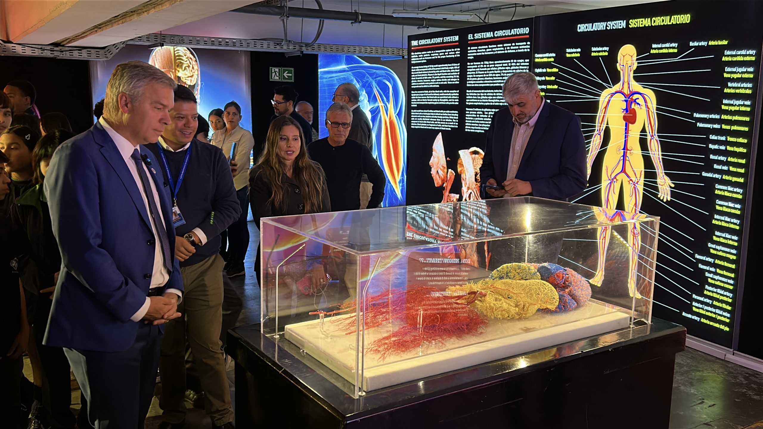 “Bodies Evolution” la exposición científica más impactante del mundo extiende sus días
