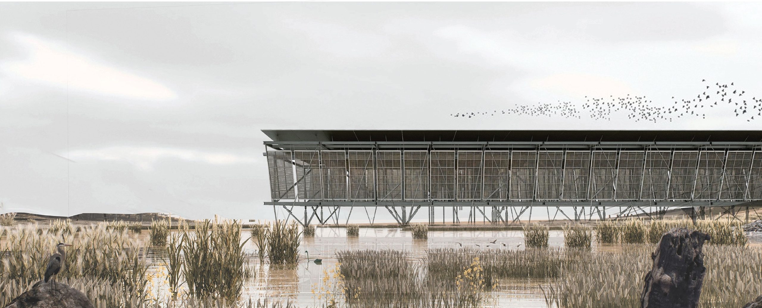 Arquitecto gana concurso nacional con innovador proyecto para el Salar de Tara
