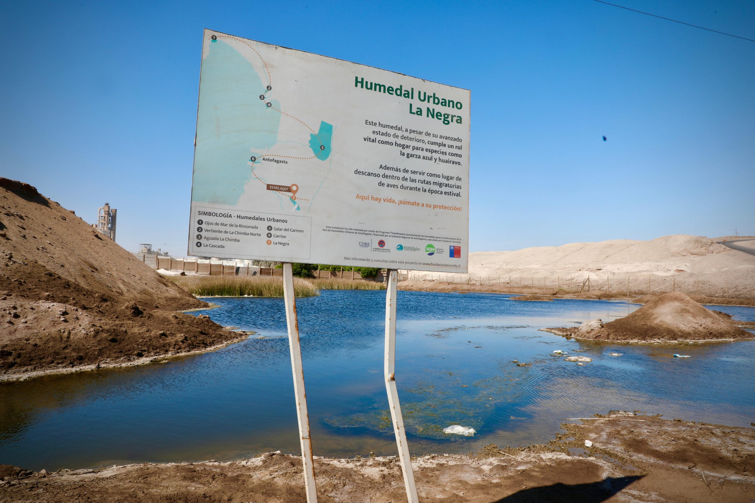 Buscan recuperar y avanzar en protección de humedal La Negra