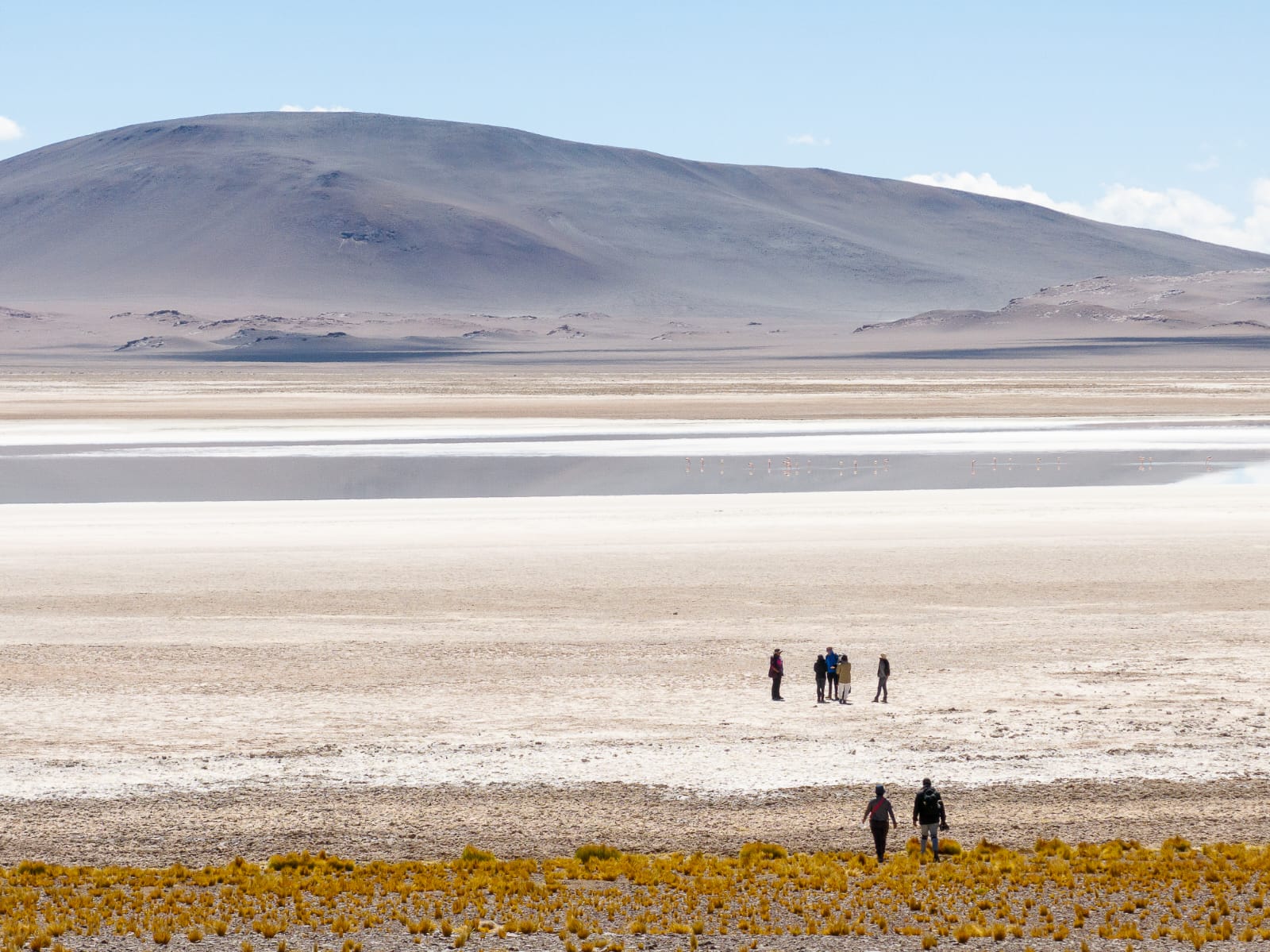 Cristina Dorador inspira documental premiado en el Jackson Wild, el mayor festival de cine sobre naturaleza