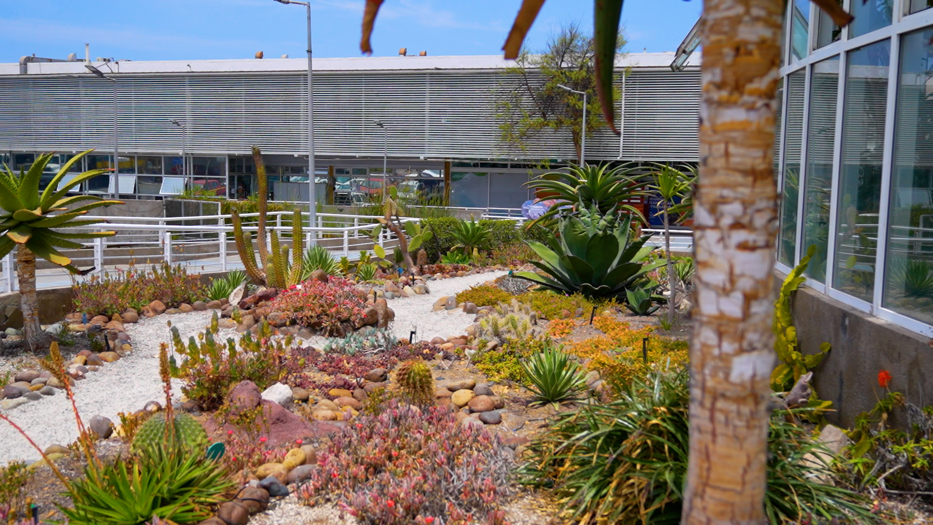 Antofagasta será sede de la XXXVI Reunión Anual de la Sociedad de Botánica de Chile