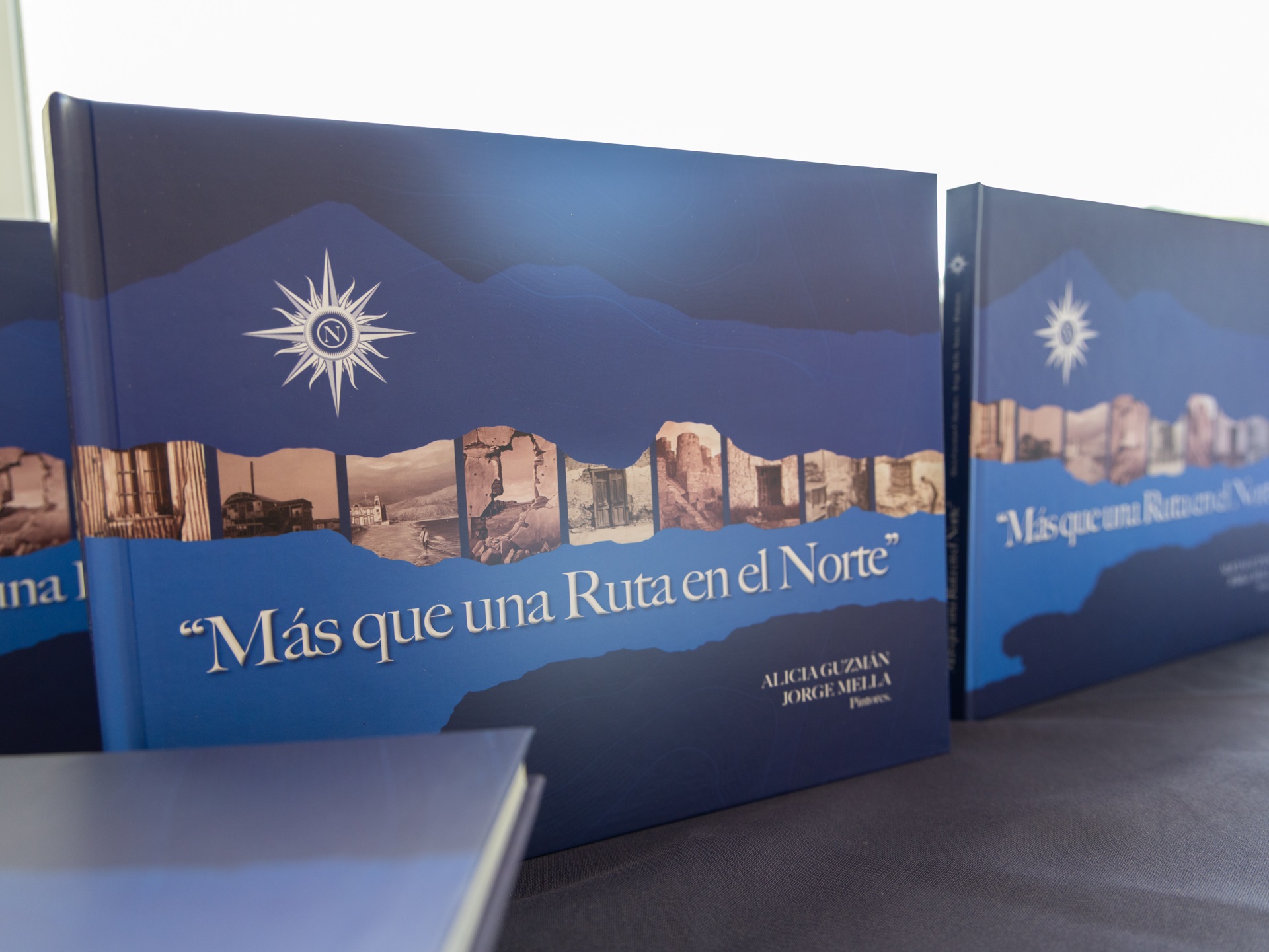 Artistas plásticos nortinos realizan lanzamiento de catálogo de obras