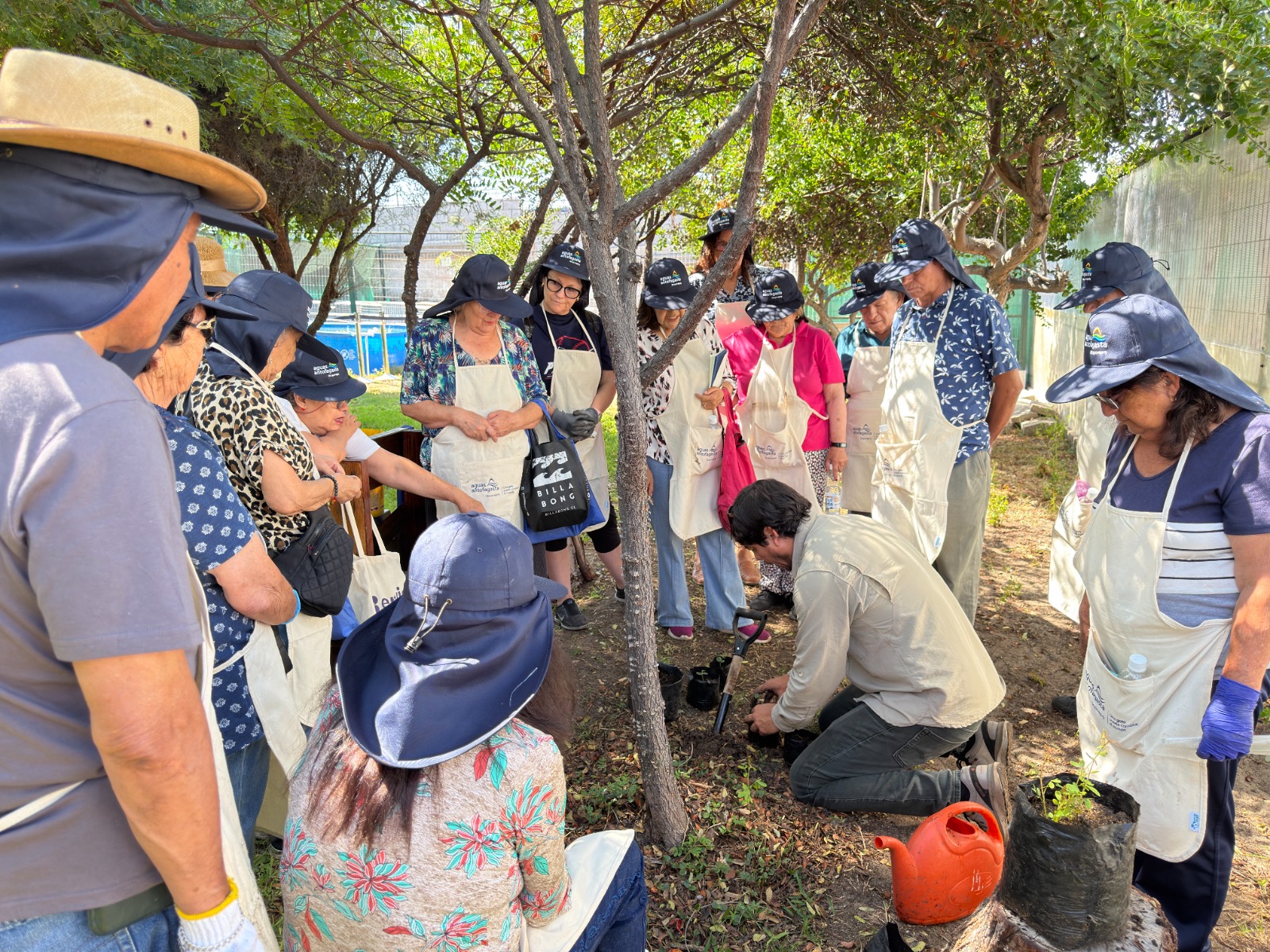 Adultos mayores participaron en programa de verano del Jardín Botánico de Aguas Antofagasta