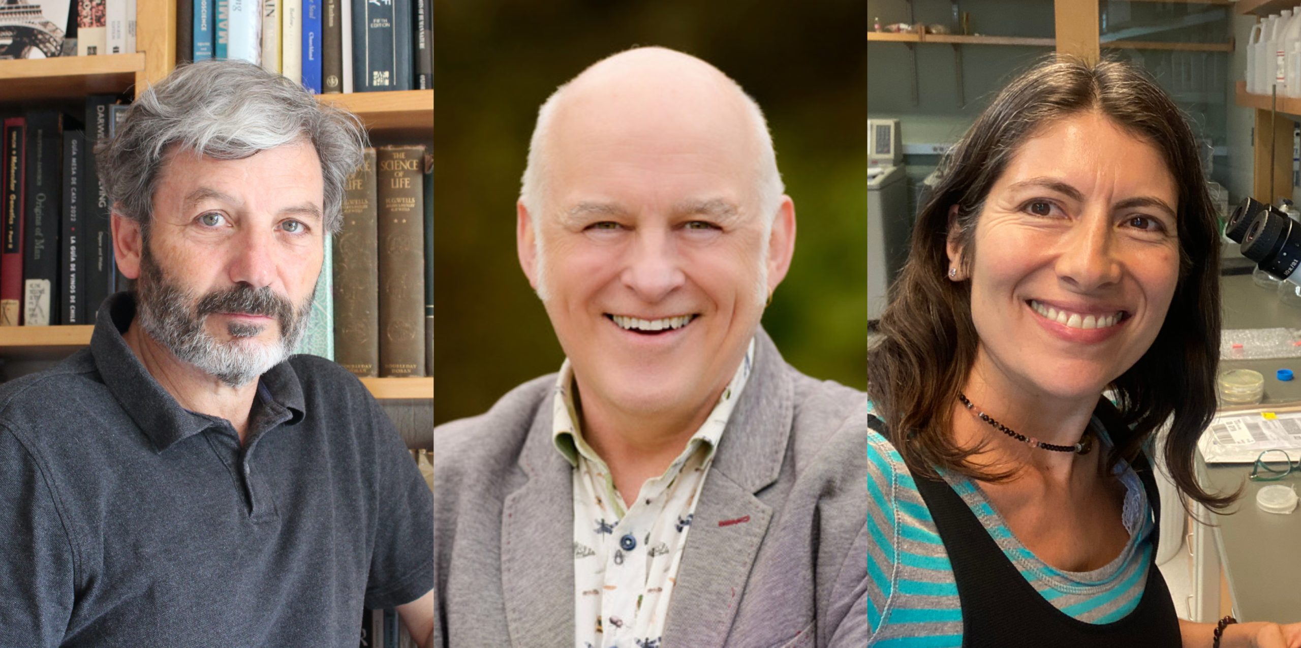 Neurociencia y cerebro protagonizarán el Festival Puerto de Ideas