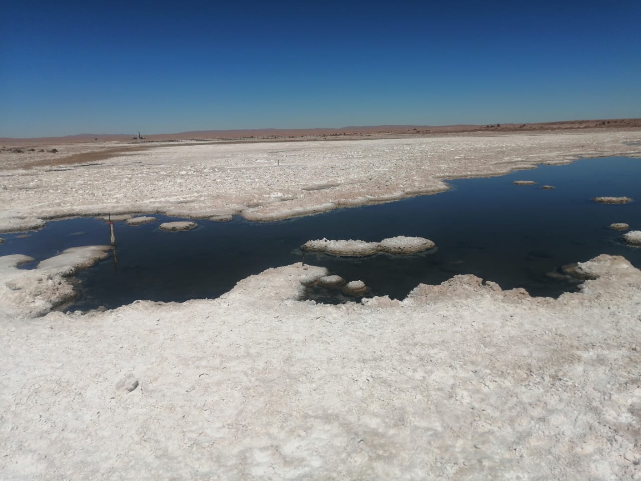 Microorganismos del desierto de Atacama podrían ayudar a detectar vida en otros planetas