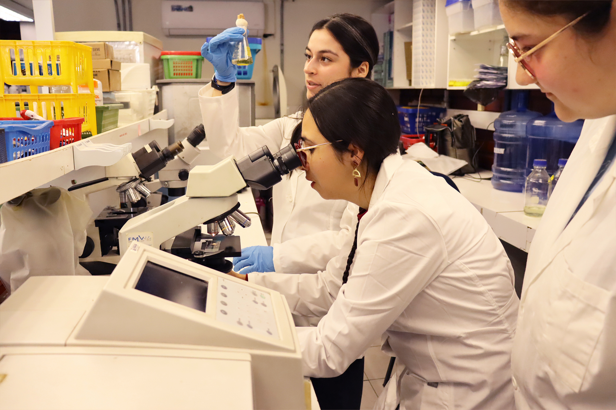 Startup desarrolla biotecnología para reducir polvo en relaves y recuperar suelos mineros
