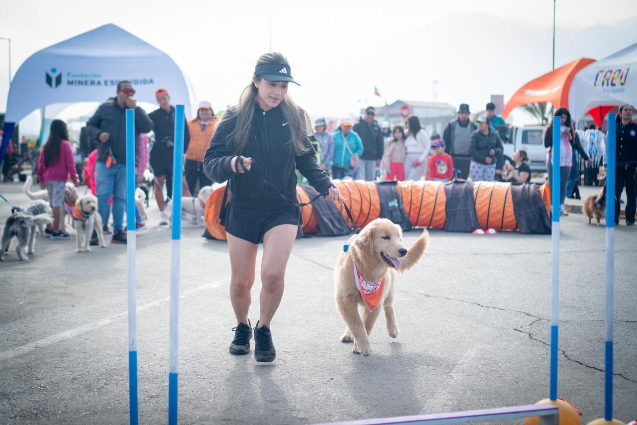 ¡A mover la cola! Playa Trocadero será escenario de la tercera Corrida Familiar Perruna