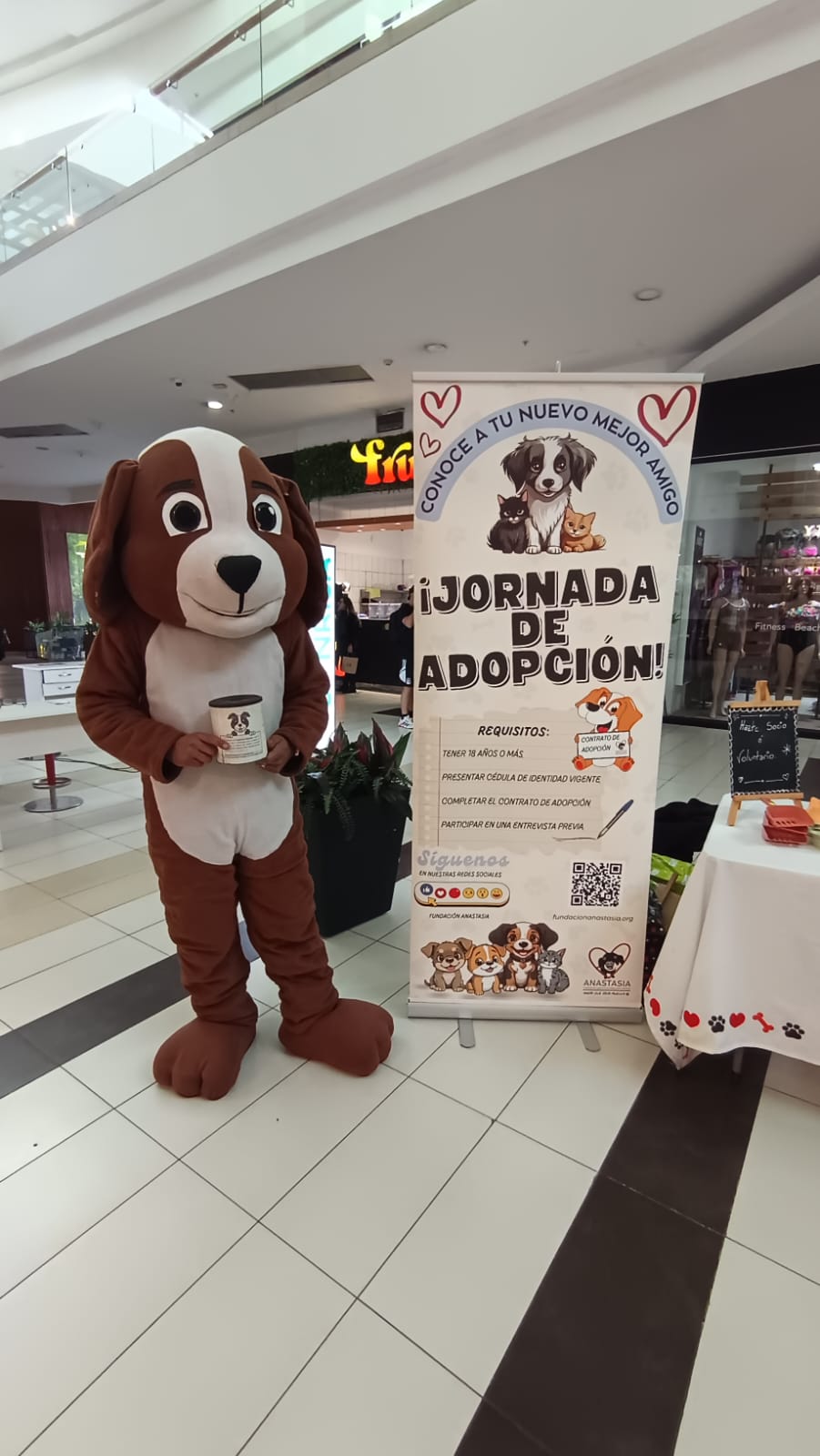 Fundación Animalista Anastasia lanza “Campaña de la Alcancía”